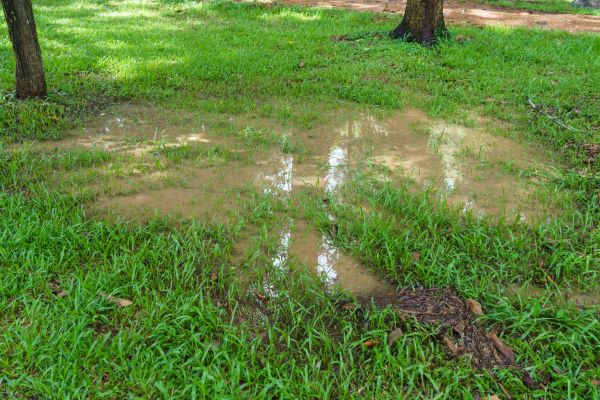 Cost of Storm Water Drainage Service in Downers Grove