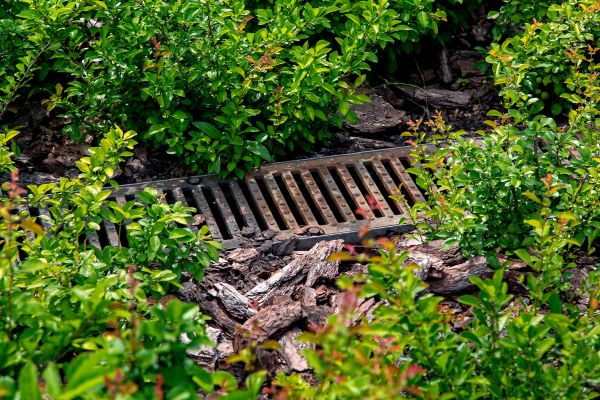Cost of Underground Drainage Service in Downers Grove