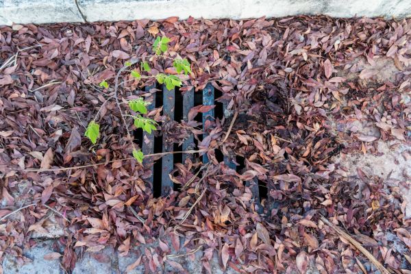 Cost of Yard Drain Unclogging in Downers Grove