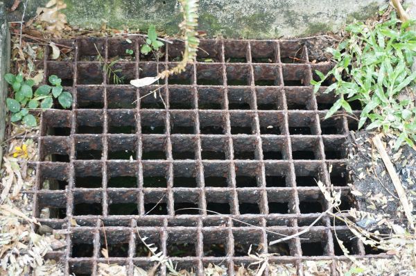 Cost of Yard Drain Cleaning in Downers Grove