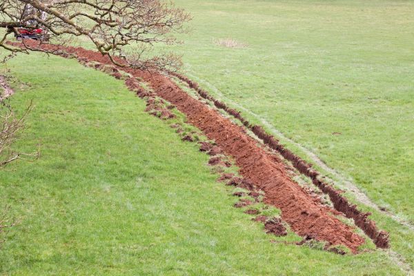 Cost of Swale Installation in Downers Grove