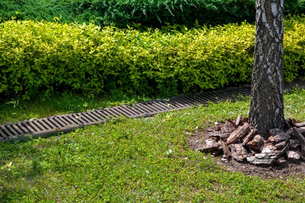 Cost of Residential Landscape Drainage in Downers Grove