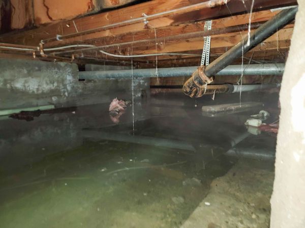 Cost of Crawlspace Drainage in Downers Grove