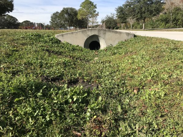 Cost of Swale Drainage Service in Downers Grove